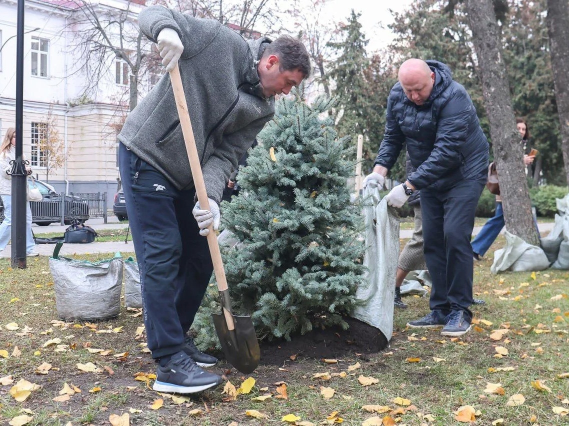 В Воронеже продолжается озеленение .
