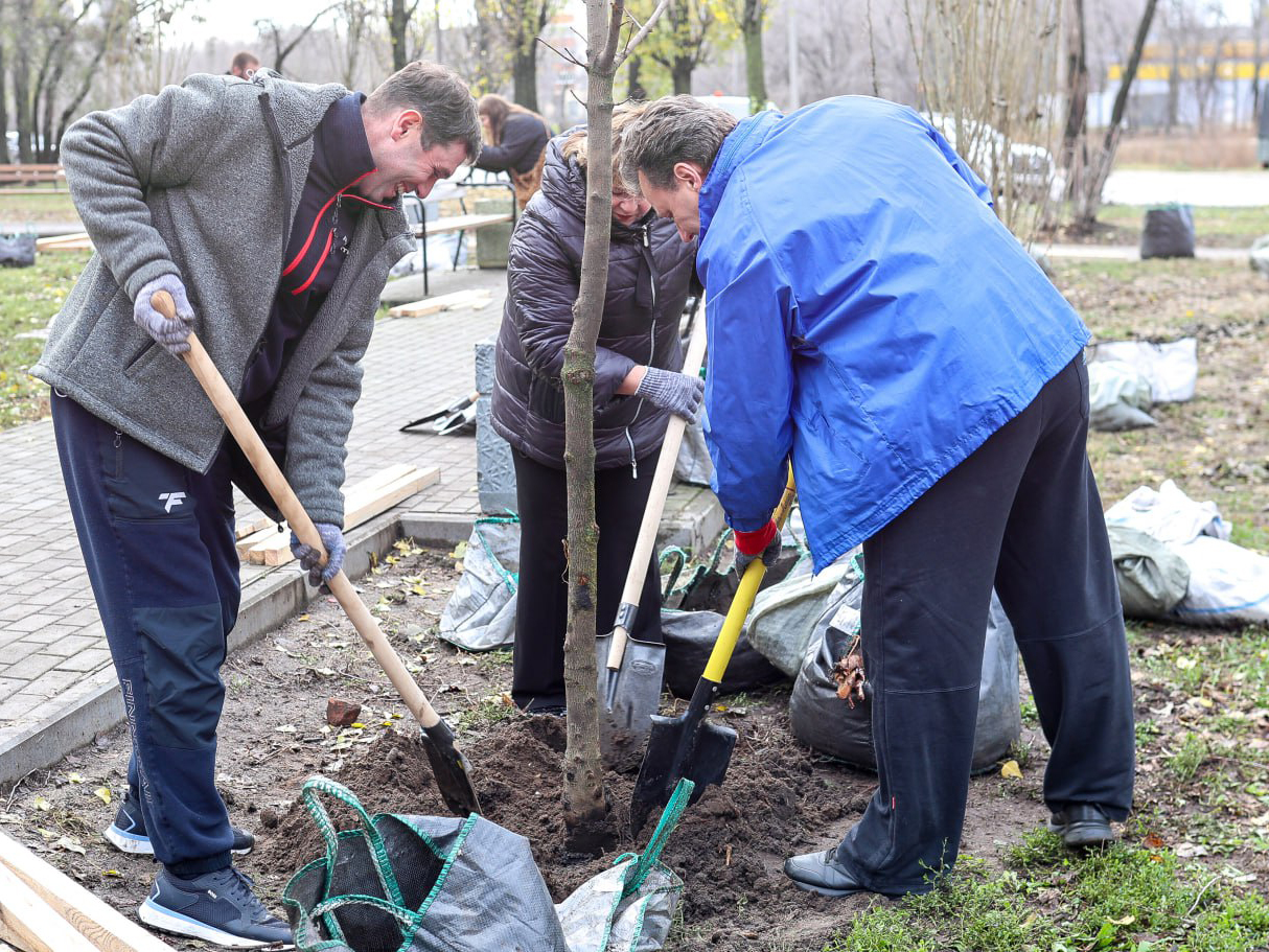 Осеннее озеленение Воронежа подходит к завершению.